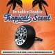 Chemical Guys Vent Clip Air Freshener, Tropical Scent