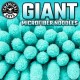 Chemical Guys Teal X-Large Noodles Mitt